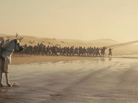 The odyssey beach horse