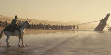 The odyssey beach horse