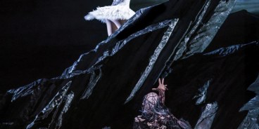 Swan
