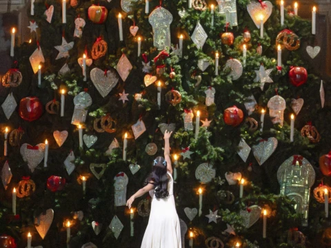 Nutcracker 2026 05 25 152457 dugo