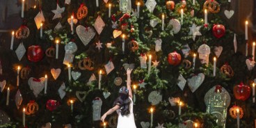 Nutcracker 2026 05 25 152457 dugo